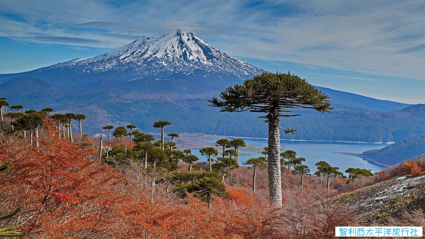 智利火山1.jpg