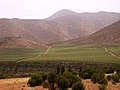 120px-Elqui_valle.jpg