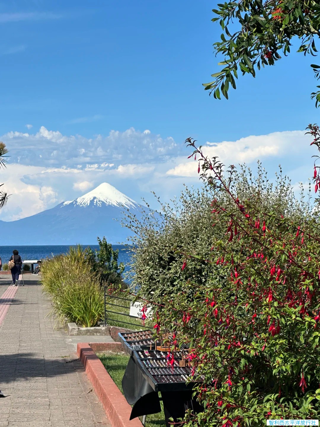 智利｜puerto montt火山🌋海鲜🦞徒步🧗_3_.jpg