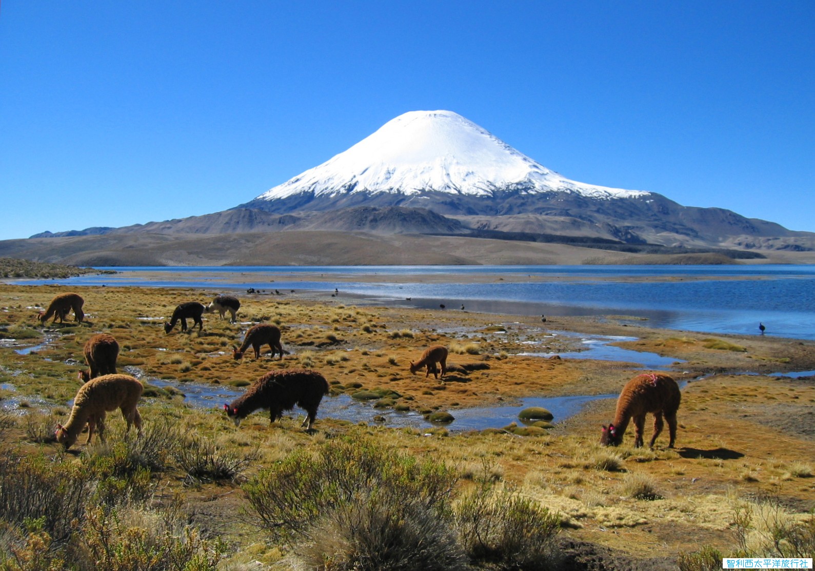 Parinacota_volcano.jpg