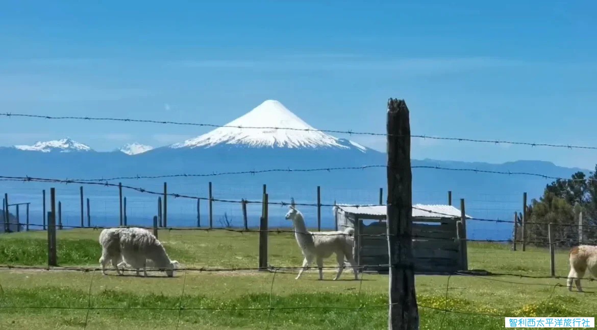 智利南部湖大区（Los lagos）1.jpg